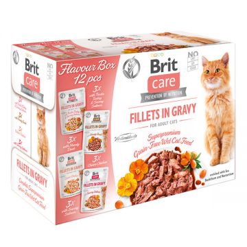 Brit Care Flavour Box Fillet Ingravy, 4 arome, plic hrană umedă fară cereale pisici, (în sos), 12 x 85g