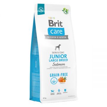 Brit Care Grain-Free Junior Large Breed, L-XL, Somon, hrană uscată fără cereale câini junior, piele & blană, 12kg