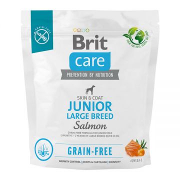 Brit Care Grain-Free Junior Large Breed, L-XL, Somon, hrană uscată fără cereale câini junior, piele & blană, 1kg