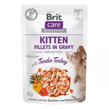 Brit Care Kitten Fillets Ingravy, Curcan, plic hrană umedă fară cereale pisici junior, (în sos), 85g ieftina