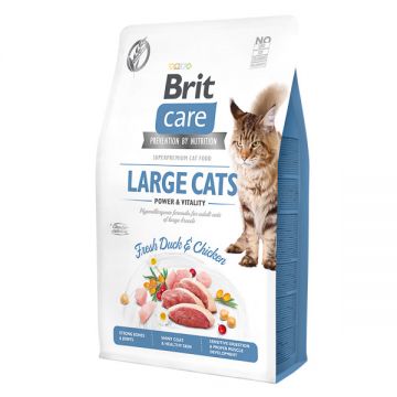 Brit Care Large Cats Power & Vitality L-XL, Rață și Pui, hrană uscată fără cereale pisici, 2kg