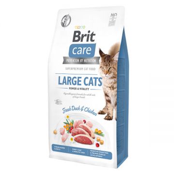 Brit Care Large Cats Power & Vitality L-XL, Rață și Pui, hrană uscată fără cereale pisici, 7kg de firma originala