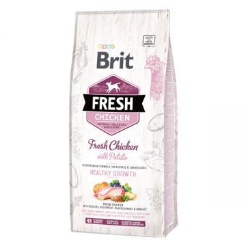 Brit Fresh Healthy Growth Puppy & Junior S-XL, Pui cu Cartof, hrană uscată conținut redus cereale câini junior, 12kg de firma originala