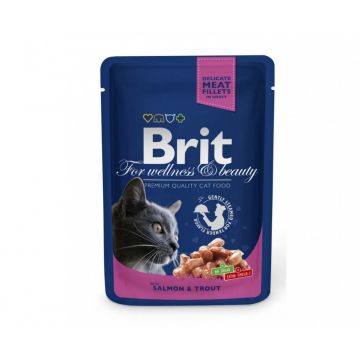 Brit Premium, Somon și Păstrăv, plic hrană umedă pisici, (în sos), 100g ieftina