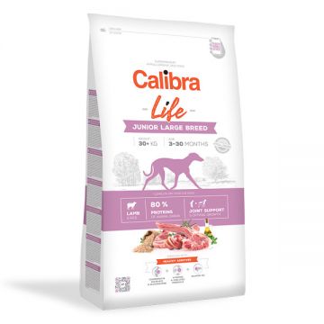 Calibra Dog Life Junior Large Breed cu Miel, 12kg de firma originala