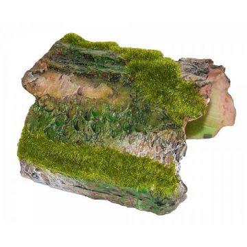 Decor acvariu scoarta lemn copac cu moss 10 cm-ZD-F3070