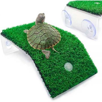 Platforma broasca testoasa cu moss marime small