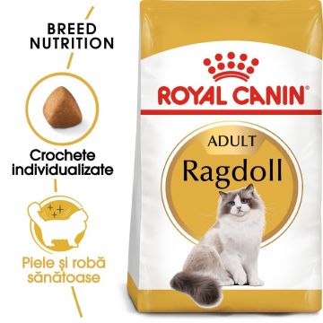 Royal Canin Ragdoll Adult hrana uscata pisica, 2 kg
