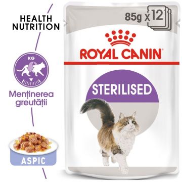Royal Canin Sterilised Adult hrana umeda pisica sterilizata (in aspic), 12 x 85 g