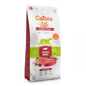 Calibra Life Junior Large, L-XL, Vită, hrană uscată monoproteică câini junior, 12kg de firma originala