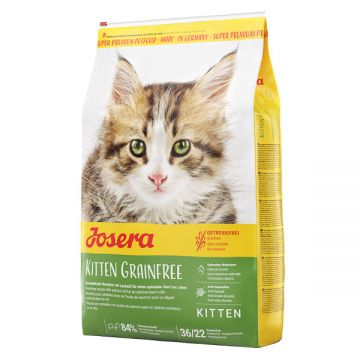 Josera Kitten Grain-Free, Somon, hrană uscată fără cereale pisici junior, 10kg