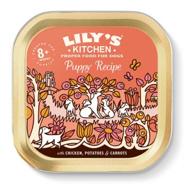 Lily's Kitchen for Dogs Chicken Dinner for Puppies, 150g