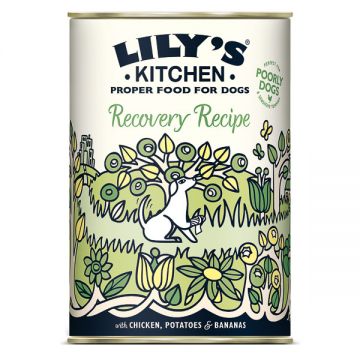 Lily's Kitchen for Dogs Recovery Recipe with Chicken, Potatoes and Bananas, 400g ieftina