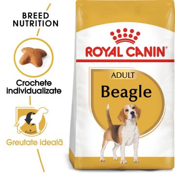Royal Canin Beagle Adult hrană uscată câine, 3kg