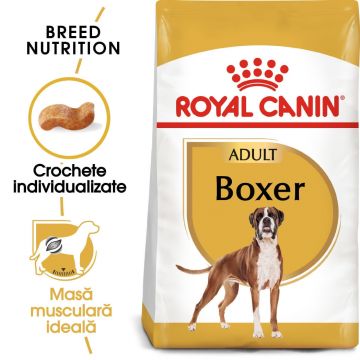 Royal Canin Boxer Adult hrană uscată câine, 12kg de firma originala