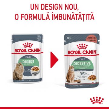 Royal Canin Digest Sensitive Care Adult hrană umedă pisică, confort digestiv (în sos), 12 x 85g ieftina