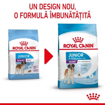 Royal Canin Giant Junior hrană uscată câine junior etapa 2 de creștere, 15kg ieftina
