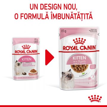 Royal Canin Kitten hrană umedă pisică (în sos), 12 x 85g ieftina