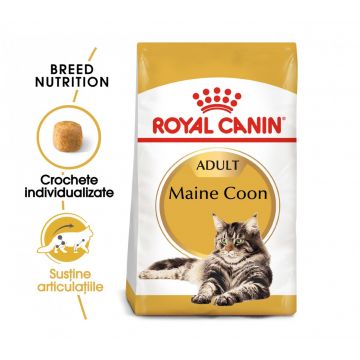 Royal Canin Maine Coon Adult hrană uscată pisică, 10kg ieftina