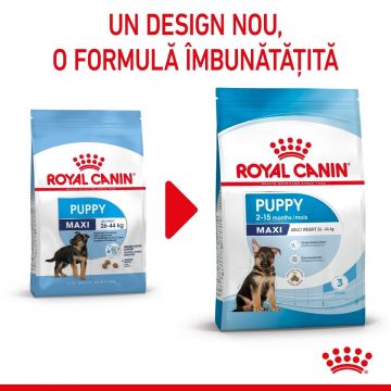 Royal Canin Maxi Puppy hrană uscată câine junior, 15kg ieftina
