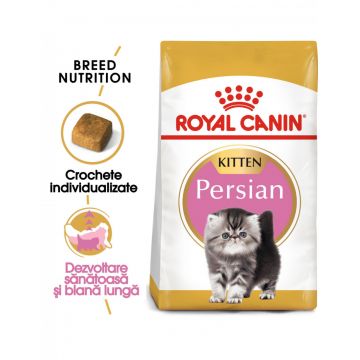 Royal Canin Persian Kitten hrană uscată pisică junior, 400g ieftina