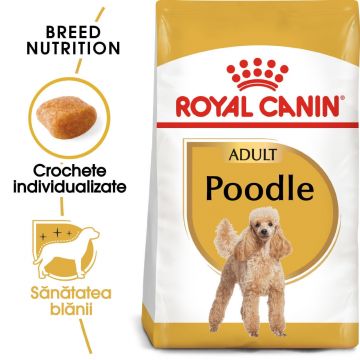 Royal Canin Poodle Adult hrană uscată câine, 1.5kg