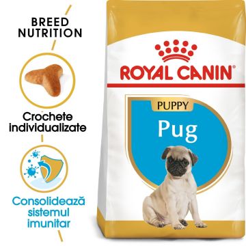 Royal Canin Pug Puppy hrană uscată câine junior, 1.5kg