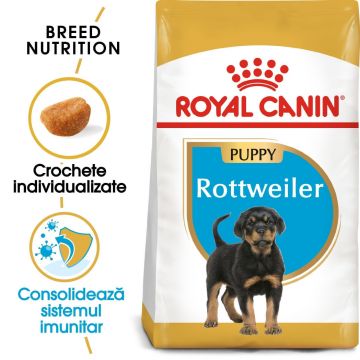 Royal Canin Rottweiler Puppy hrană uscată câine junior, 12kg