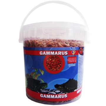 Hrana pentru broaște țestoase EXO Gammarus, 1000ml