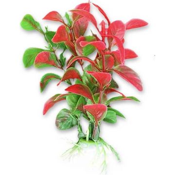 Plante artificiale Blister, 10 cm rosu, 1B03 ieftin