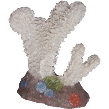 Decor Acvariu coral, 10cm, 407D