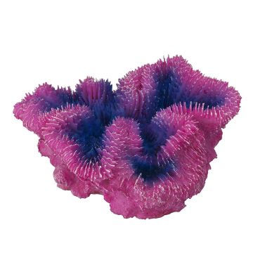 Decor Coral Symphylia Violet 12x5x12 cm 234/431351 ieftin
