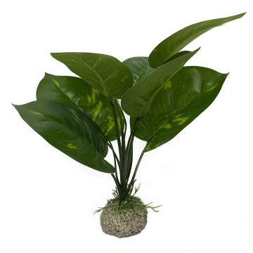 Planta Artificiala Anubias 1 Verde 24 cm 242/468272 ieftin