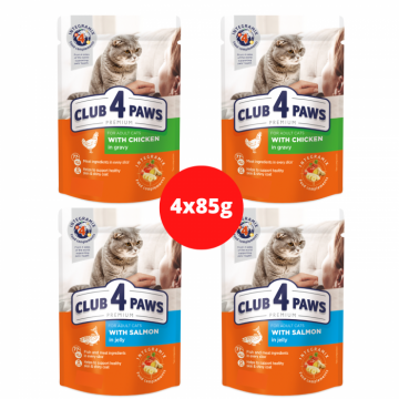 Club 4 Paws Premium Hrana umeda pisici - cu pui in sos si somon in jeleu, set 4x85g