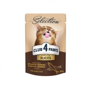 Club 4 Paws Premium Plus Selection Hrana umeda pentru pisici - Bucati de hering Baltic Atlantic in jeleu, 12x80g