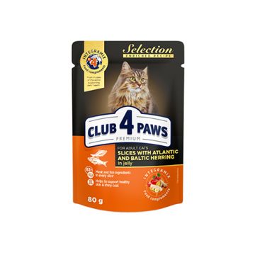 Club 4 Paws Selection Hrana umeda pisici - Bucati de hering in jeleu, set 24 80g ieftina