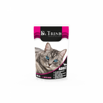 Dr.Trend Premium Hrana umeda pisici cu rata, 12x0,085g la reducere