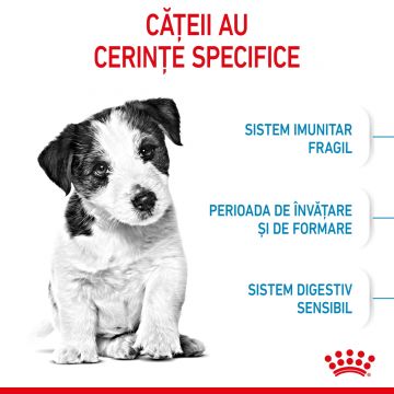 Hrana Uscata Caini, ROYAL CANIN, Mini Puppy, Junior, 2kg