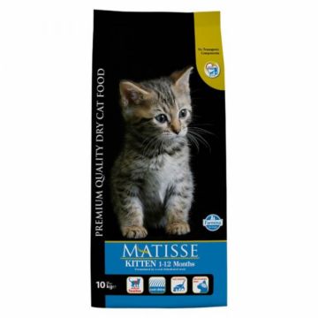 Matisse hrana uscata pentru pisici junior 10 kg la reducere