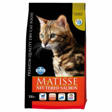 Matisse hrana uscata pentru pisici sterilizate cu somon 1,5 kg la reducere