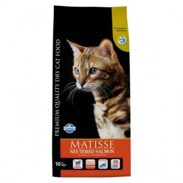 Matisse hrana uscata pentru pisici sterilizate cu somon 10 kg la reducere