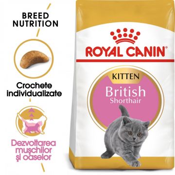 Royal Canin British Shorthair Kitten hrană uscată pisică junior, 2kg de firma originala