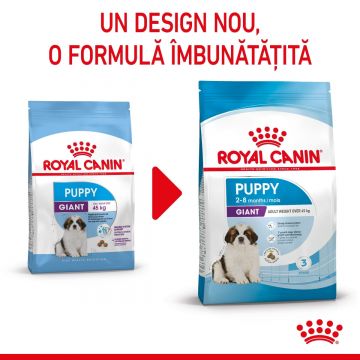 Royal Canin Giant Puppy hrană uscată câine junior etapa 1 de creștere, 1kg ieftina