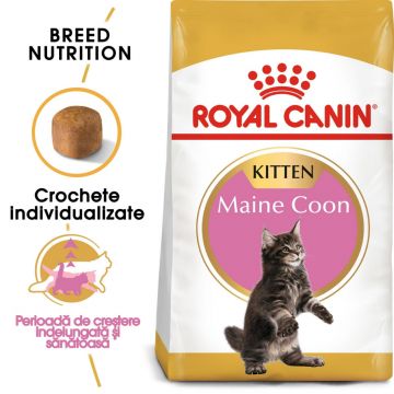 Royal Canin Maine Coon Kitten hrană uscată pisică junior, 2kg de firma originala