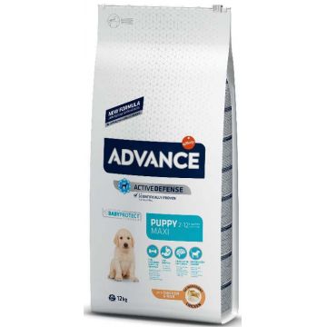 ADVANCE PUPPY Maxi, Pui şi orez