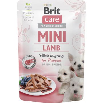 BRIT CARE Dog Mini Plic PUPPY, File de miel, în sos 85g