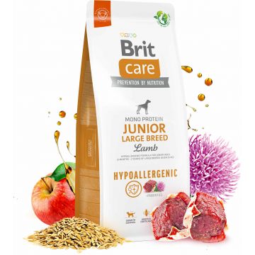 BRIT CARE Hypoallergenic JUNIOR Large Breed, cu Miel şi Orez
