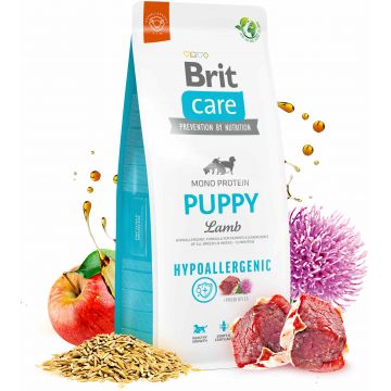 BRIT CARE Hypoallergenic PUPPY, cu Miel şi Orez