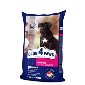 Club 4 Paws Hrana uscata juniori de talie mare, 14kg