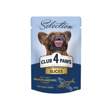 Club 4 Paws Premium Plus Selection Hrana pentru caini adulti de talie mica -Bucati de somon si macrou in sos,12x85g ieftina